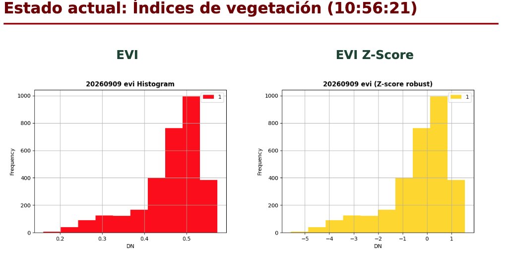Página del informe con los histogramas del EVI y de su z-score: cómo se reparten los valores entre los píxeles de la parcela